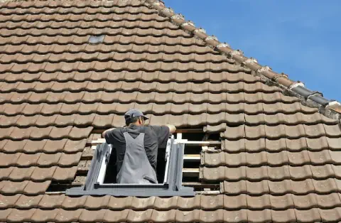 Pose de velux - Éveux
